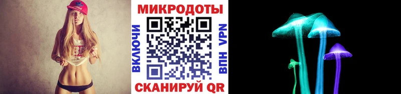 Псилоцибиновые грибы Psilocybe  Абакан 
